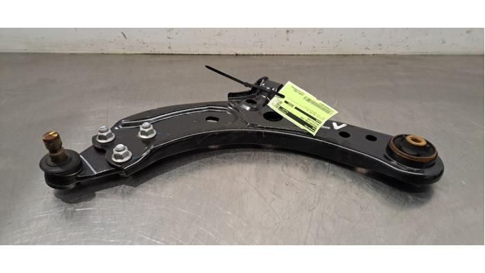 Spina dorsale anteriore sinistra MG ZS