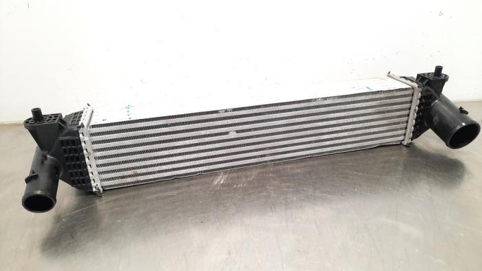 Intercooler MG EHS