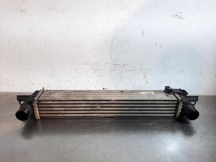 Intercooler Fiat Fiorino