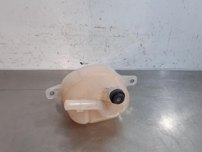 Koelvloeistof Reservoir van een Fiat Fiorino (225) 1.3 D 16V Multijet 2019