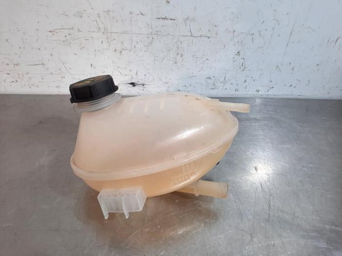 Vaso de expansión Ford Puma