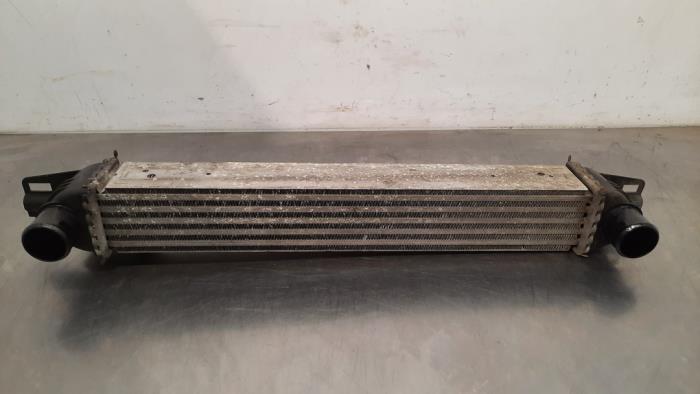 Intercooler Fiat Fiorino