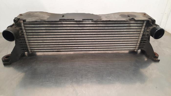 Intercooler Iveco Daily