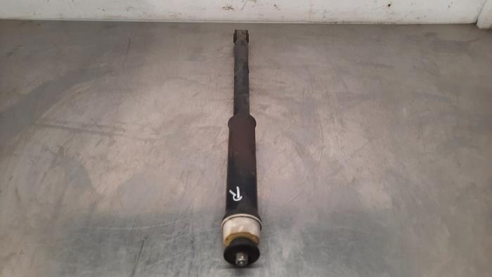 Rear shock absorber, right Renault Clio