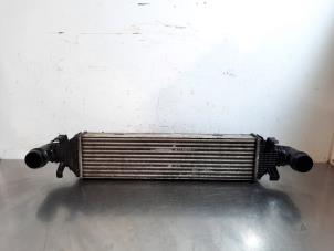 Gebruikte Intercooler Mercedes E (W212) E-350 CDI BlueEfficiency 3.0 V6 24V Prijs € 66,55 Inclusief btw aangeboden door Autohandel Didier