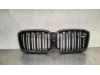BMW X3 (G01) xDrive M40i 3.0 Turbo 24V Mild Hybrid Grille
