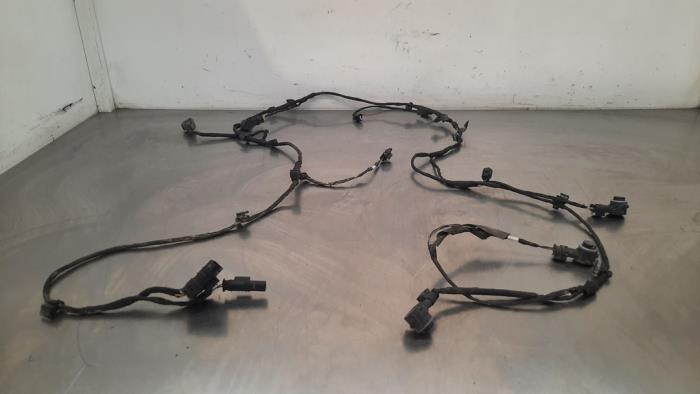 Pdc wiring harness