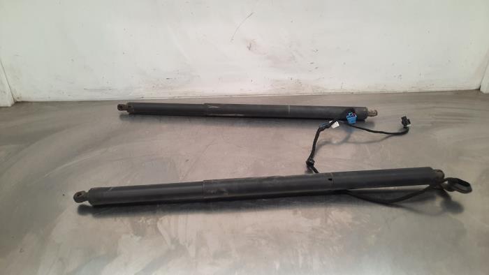 Set of tailgate gas struts