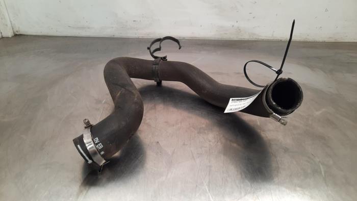 Intercooler hose Citroen Berlingo