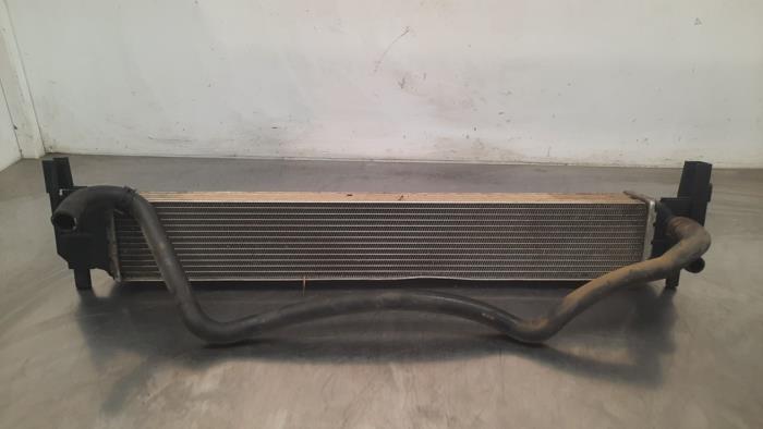 Radiator Skoda Fabia