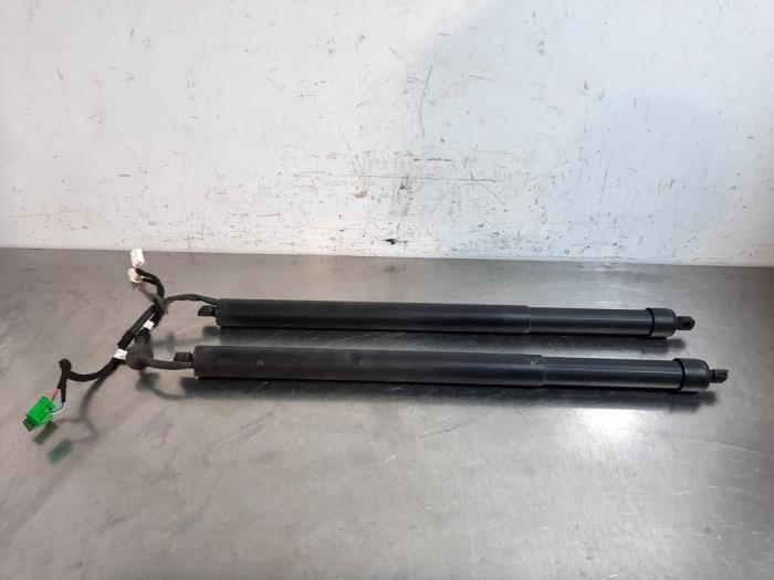 Set of gas struts for boot Citroen C5 Aircross