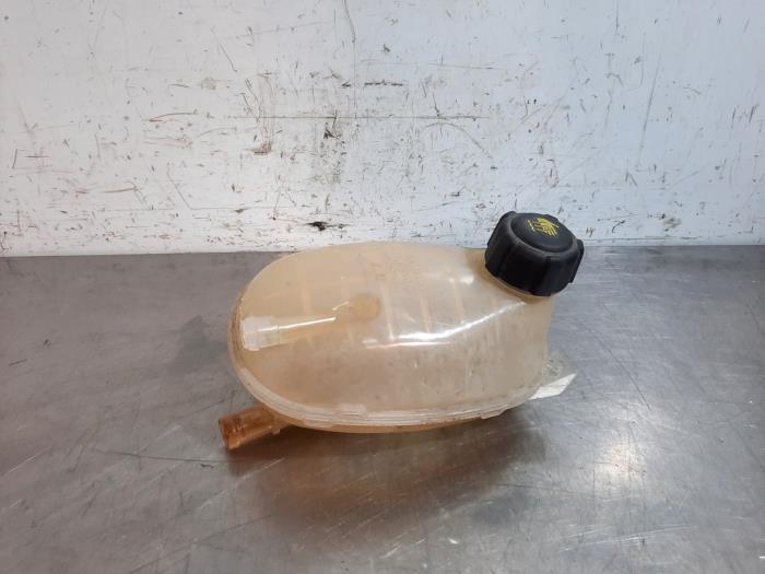 Réservoir d&#039;expansion Renault Clio