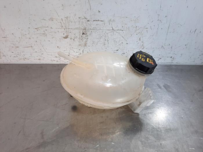 Vaso de expansión Ford Puma