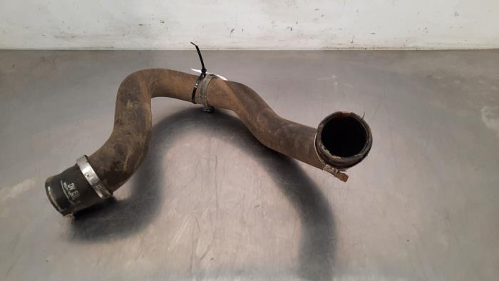 Intercooler hose Citroen Berlingo