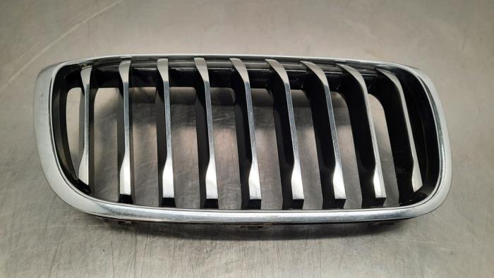 Grille BMW 2-Serie