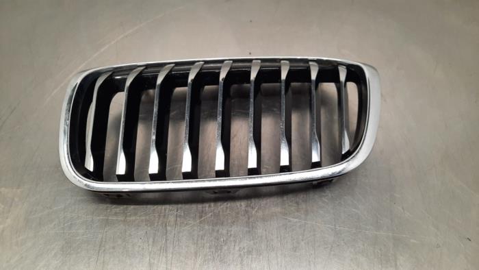 Grille BMW 2-Serie