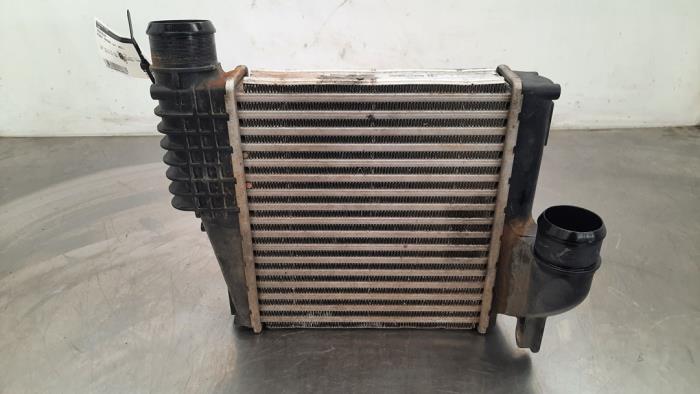 Intercooler Peugeot Partner