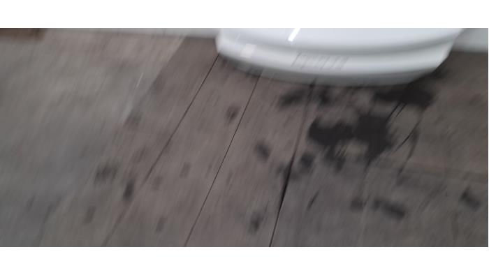 Hayon Porsche Taycan