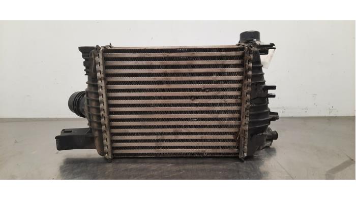 Intercooler Renault Clio