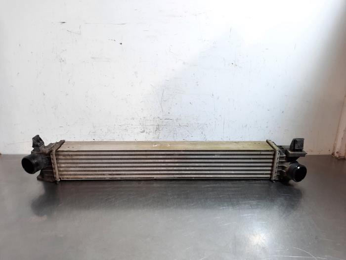 Intercooler Citroen Jumper