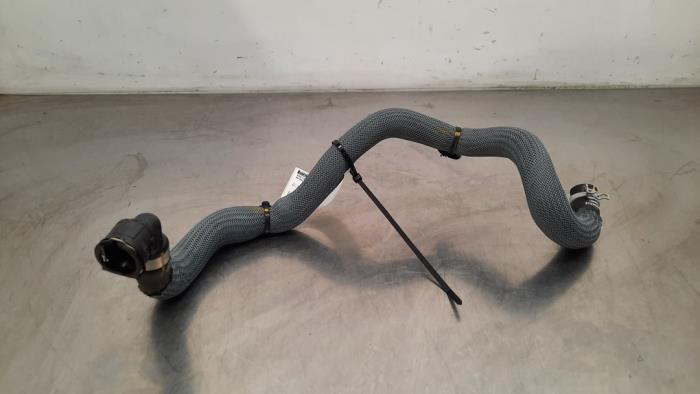 Tuyau radiateur Renault Austral