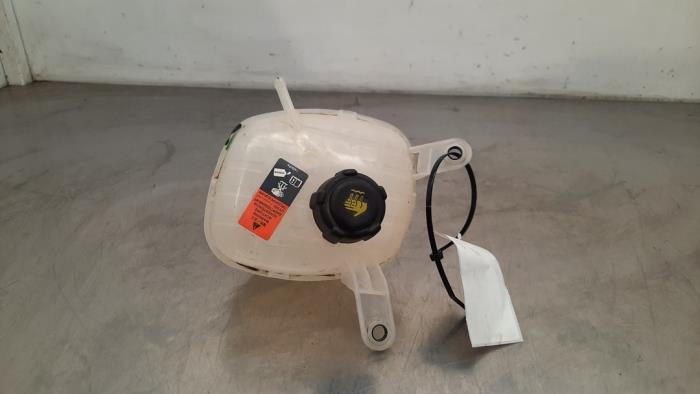 Réservoir d&#039;expansion Renault Austral