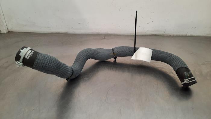 Tuyau radiateur Renault Austral