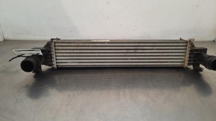 Intercooler Jeep Compass