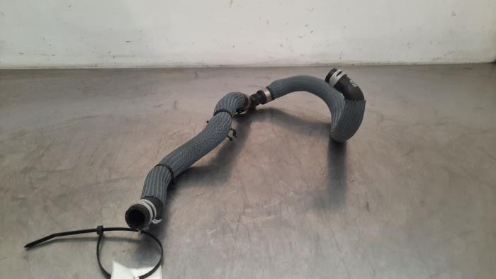 Tuyau radiateur Renault Austral