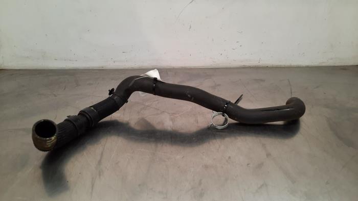 Radiatorslang Renault Clio