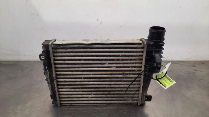 Intercooler Peugeot Expert