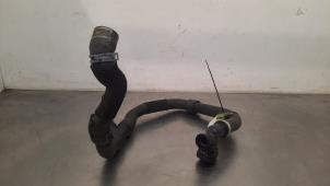 Gebruikte Radiateurslang Skoda Fabia IV (PJ3) 1.0 TSI 12V Prijs € 36,30 Inclusief btw aangeboden door Autohandel Didier