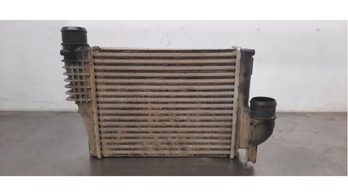 Intercooler Citroen Jumpy