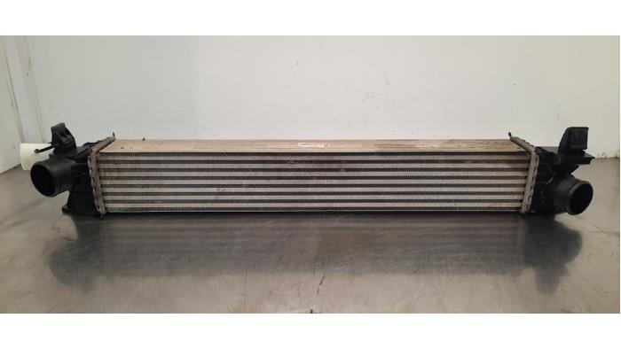 Intercooler Citroen Jumper