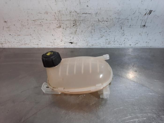 Réservoir d&#039;expansion Renault Clio