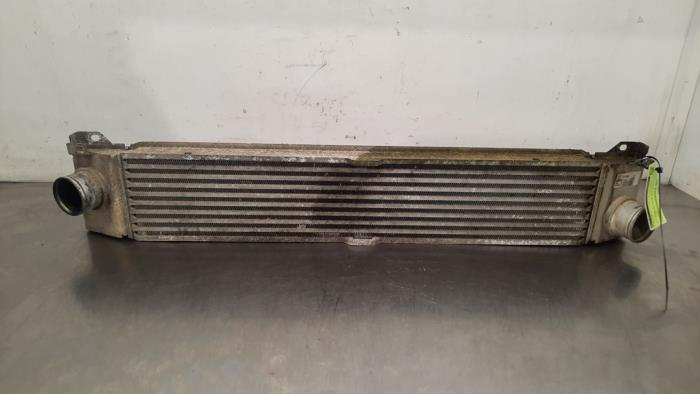 Intercooler Citroen Jumper