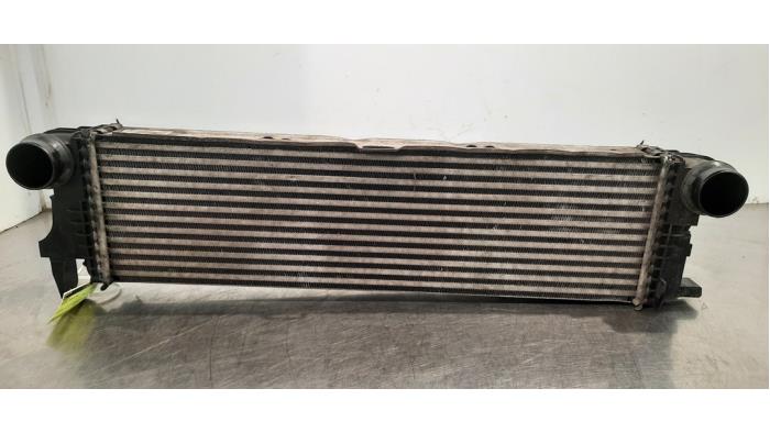 Intercooler Mercedes V-Klasse