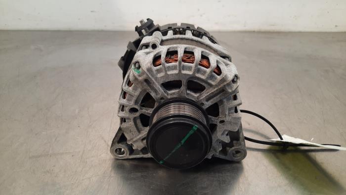 Dynamo Ford Focus