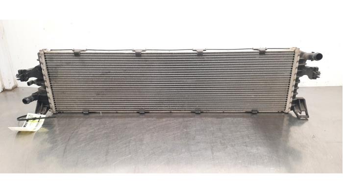 Radiateur Ford Focus