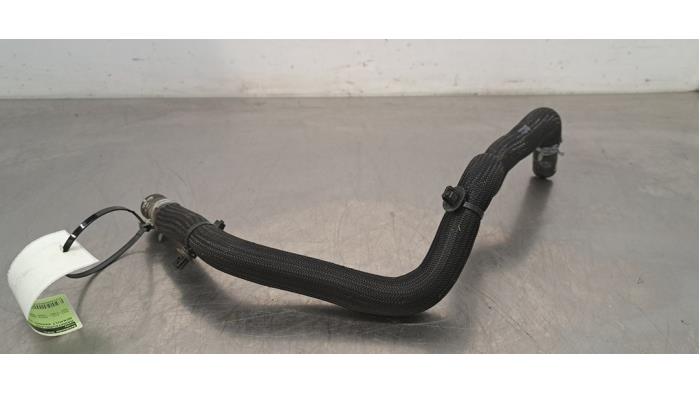Tuyau radiateur Renault Kangoo
