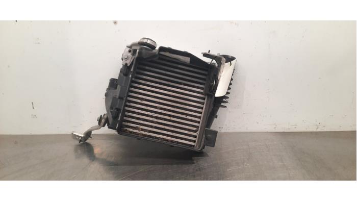 Intercooler DS Automobiles DS9