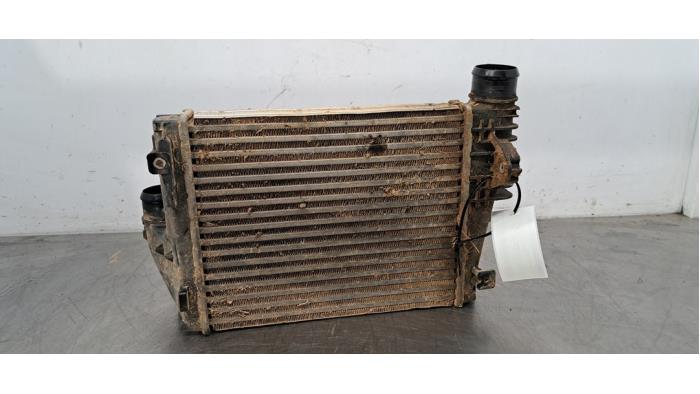 Intercooler Peugeot Expert