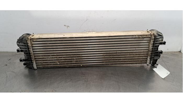 Intercooler Mercedes Sprinter