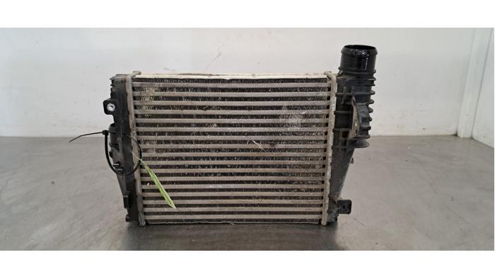 Intercooler Peugeot Expert