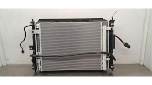 Gebruikte Koelerset DS Automobiles DS 4 1.2 12V PureTech 130 Prijs € 665,50 Inclusief btw aangeboden door Autohandel Didier