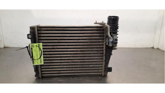 Intercooler Peugeot Expert