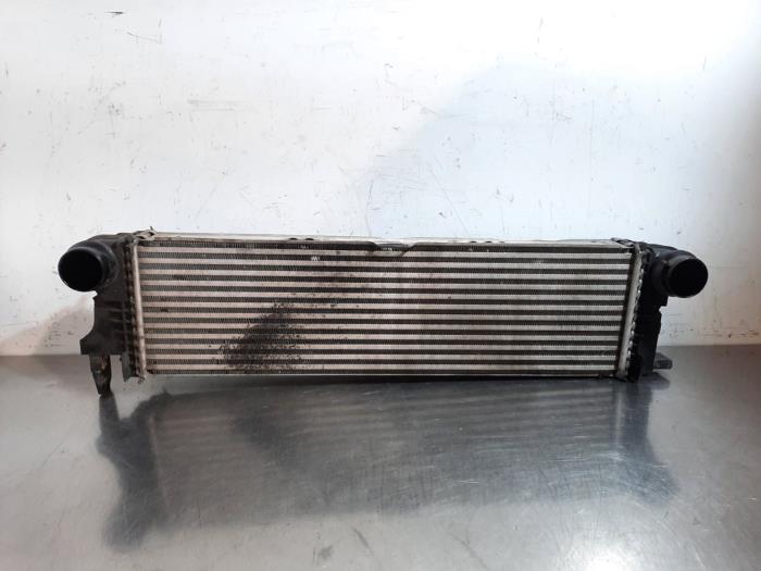 Intercooler Mercedes Sprinter