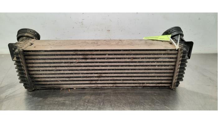 Intercooler BMW X5