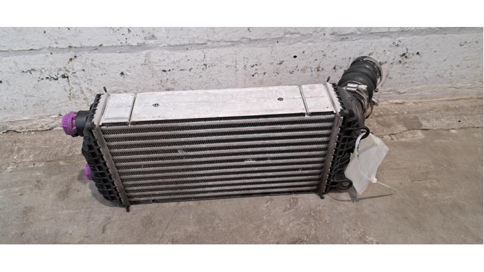 Intercooler Fiat 600