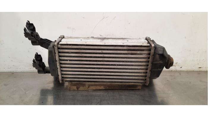 Intercooler Ford Fiesta